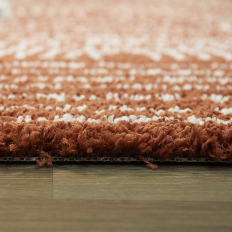 Tapis à poils longs Alec, Rectangle 5 pi 3 po x 7 pi, Burn Orange brûlé