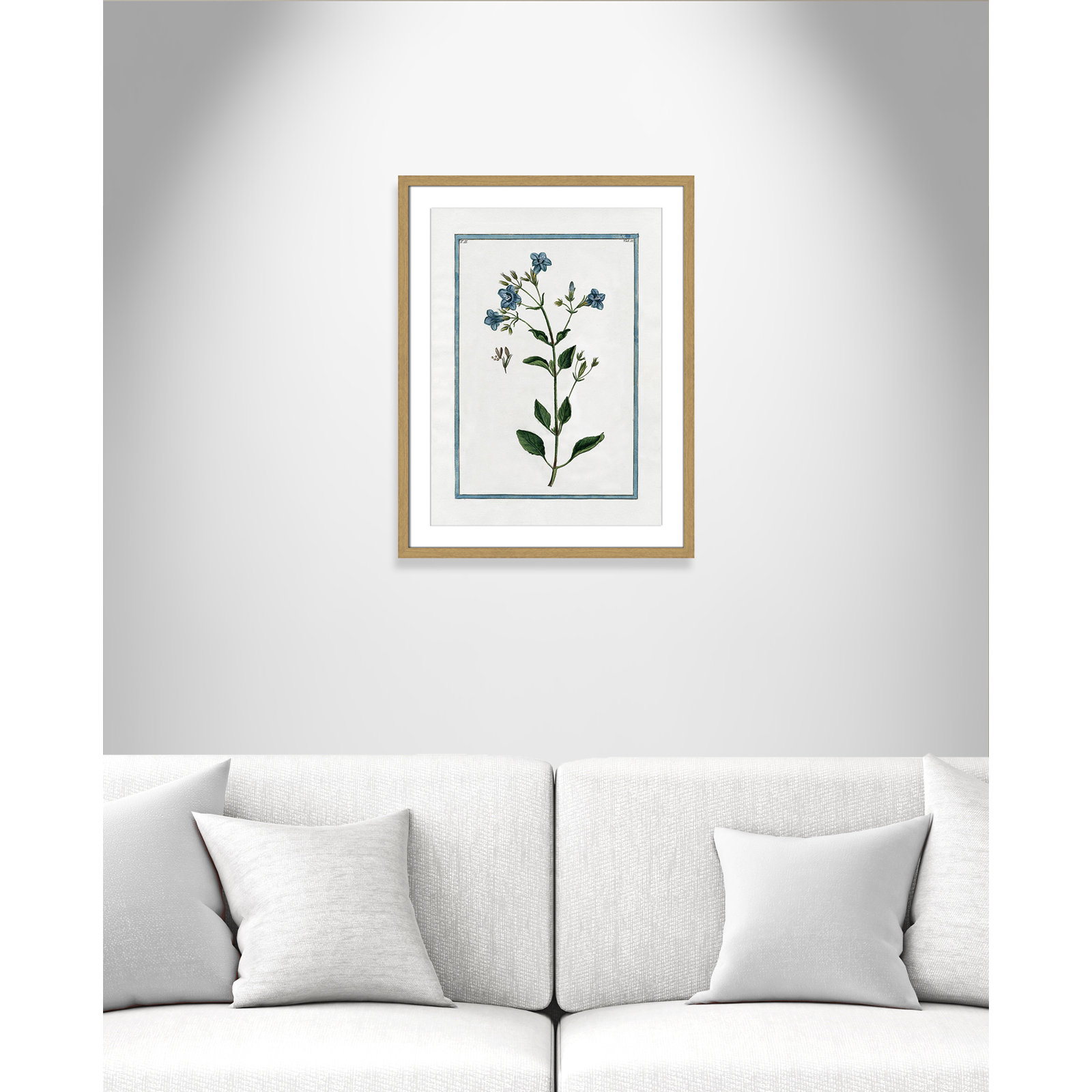 Shabby Elegance Botanical II - Framed Art, 17" W x 23" H, Natural Framed