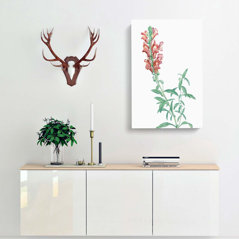 Dragon Flowers by Pierre-Joseph Redoute - Wrapped Canvas Print, 60cm H x 40cm W x 3cm D