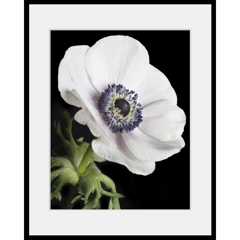 Flower - Single Picture Frame Print