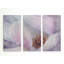Magnolia Melody II-impression de plusieurs pièces sur toile-24016401