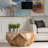 Horam Solid Wood Coffee Table