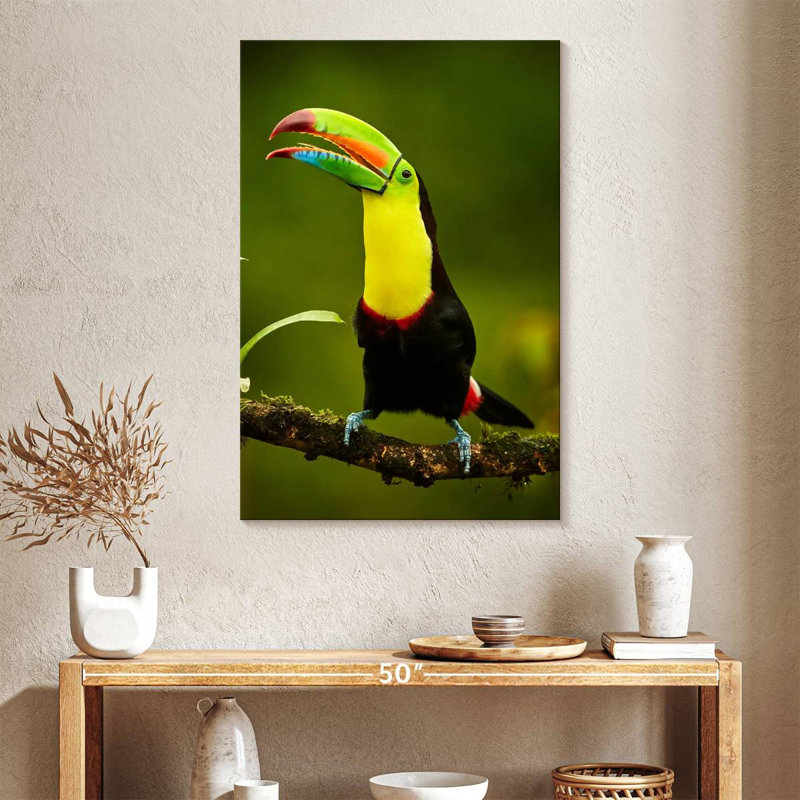 Toucan arc-en-ciel Brampt, H 39 po x l 26 po