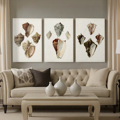 Sowerby Shells I - Toile tendue sur mesure avec châssis - 3 pièces