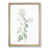 Oak Framed selected