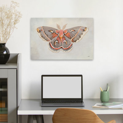 «Forest Moth I», animal contemporain gris et brun flottant