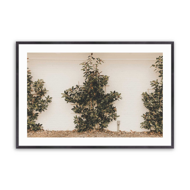 «Green Embrace», impression roulée, H 25,25 po x l 37,25 po x P 1,25 po, Cadre simple en zinc patiné