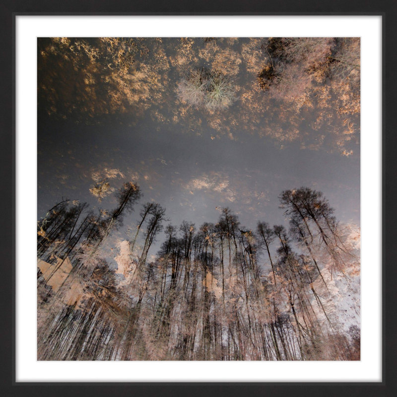 Karolis Janulis - Single Picture Frame Print, 51 cm H x 51 cm W x 3.81 cm D