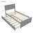 Platform Bed With Trundle-1371211566