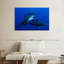 Triple requin-107886601