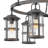 Lakehouse 6-Light Aluminum Outdoor Chandelier with Clear Seedy Glass Shades