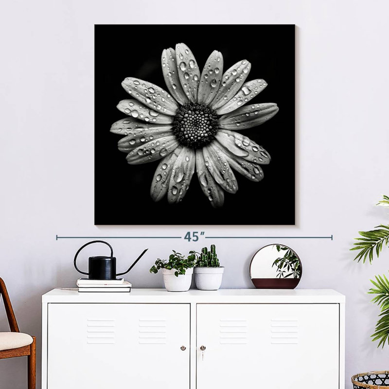 Harnek Backyard Flowers BW I, 33" H x 33" W