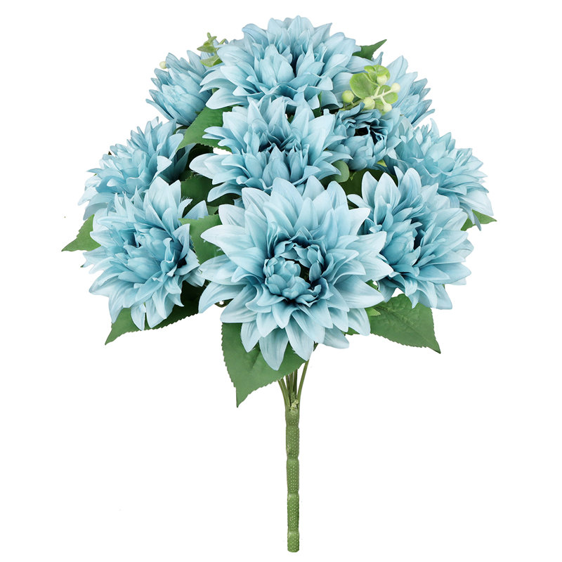 Buissons de dahlia, Bleu