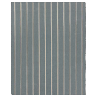 Striped Area Rug in Gray/Beige