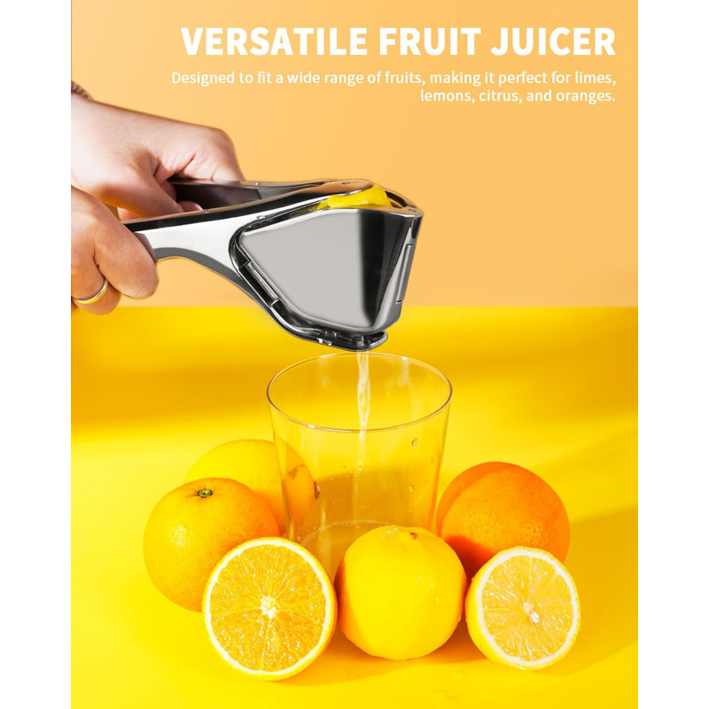 Stainless Steel Lemon Juicer, Manual Juicer for Lemon Citrus Lime Orange