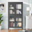 Armoire de rangement en métal classique avec portes en verre et tablettes en verre