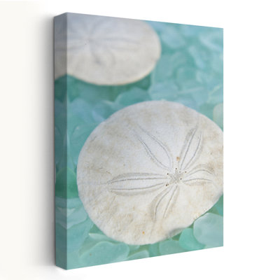 Seaglass 3 - Coastal Floral And Still Life Photography Beaches Art