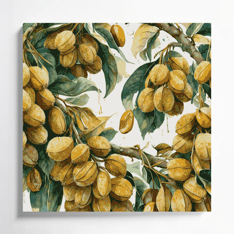 «Fruit Longan Brown», art mural sur toile, H 32 po x l 32 po