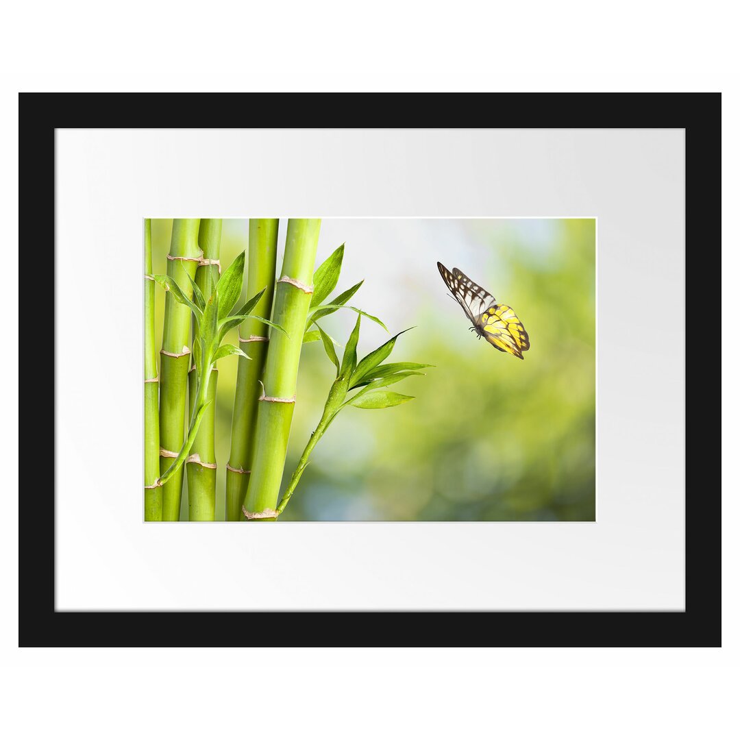 Gerahmtes Poster Bambus mit Schmetterling