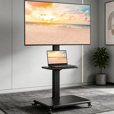 Electronic Mount