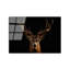 Boze Print on Glass