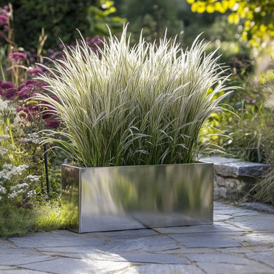 Reny Galvanised Zinc Trough Planter
