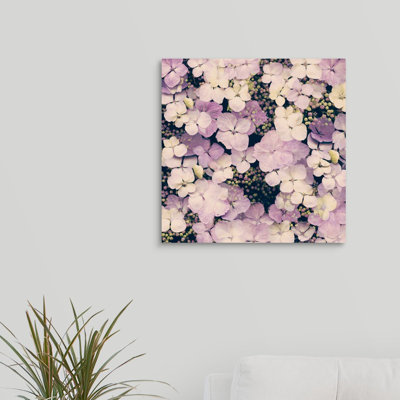 'Hydrangea Dreams' Photographic Print on Canvas