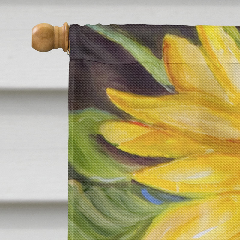 Double Sided 40'' H x 28'' W Polyester House Flag