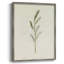 Olive Olive II, reproduction encadrée - bois massif-1550714112
