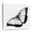 " Monochromatic Butterfly " by Emma P-1040366983