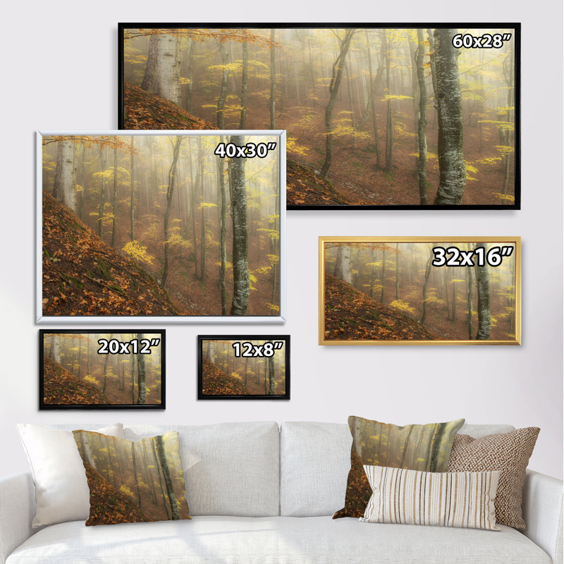 Forêt d'automne couverte de brouillard - photographie sur toile, H 8 po x l 12 po x P 1 po, Cadre noir