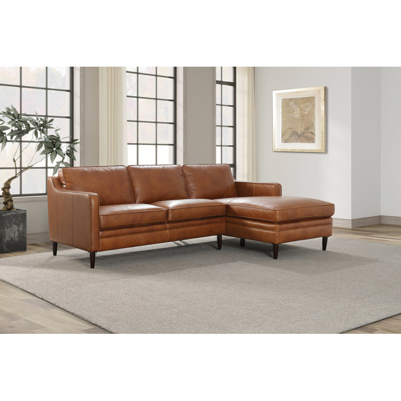 Leyla Genuine Leather 100" 2-Piece Sectional