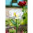 Weather Resistant Plants & Flowers Garden Stake