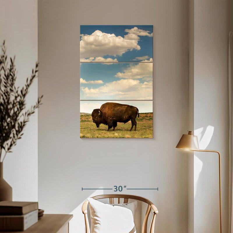 Rocky Mountain Bison