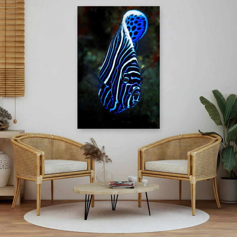 Vibrant Blue Angelfish Colorful Vibrant Fish Ocean Tropical Wall Art Print 1 Piece Wrapped Canvas Wall Art