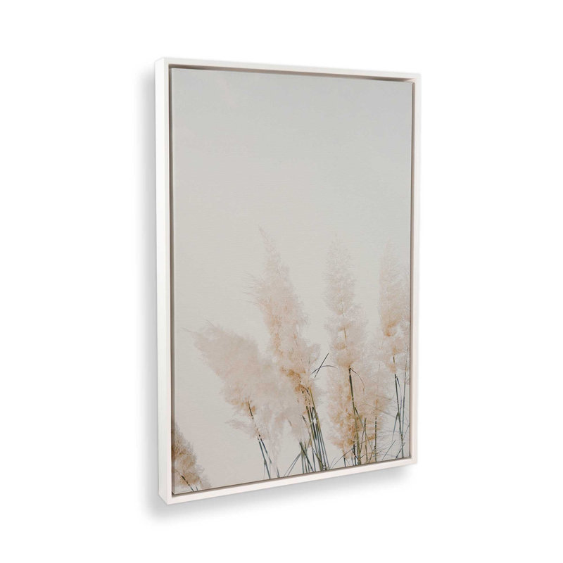 Impression sur toile Pampas Whisper, H 36,75 po x l 24,75 po x P 1,75 po, Cadre flottant blanc opaque