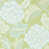 Tree Canopy/Silver Willow