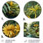 Rainforest Jungle Plants Landscape 2 - art mural en métal Jungle-145691930