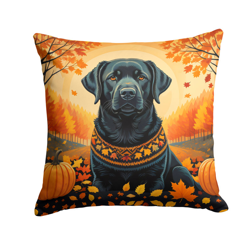 Other/No Pattern Outdoor Throw Pillow, 18" x 18"