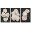 " Nighttime Flora I " 3 - Pieces-97709121-97709126