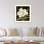«Magnolia Grandiflora» par Jenny Barron - reproduction d'un seul cadre-86801039-86801041