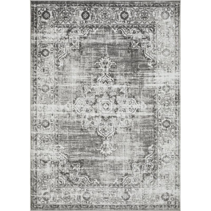 Raghdah Washable Oriental Indoor Rug, Rectangle 9'10" x 12'10"