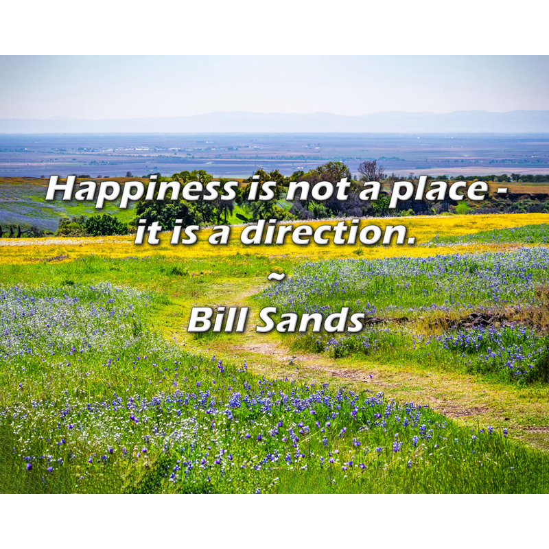 Citation de Bill Sands: Le bonheur n'est pas un endroit - c'est une direction., H 20 po x l 24 po