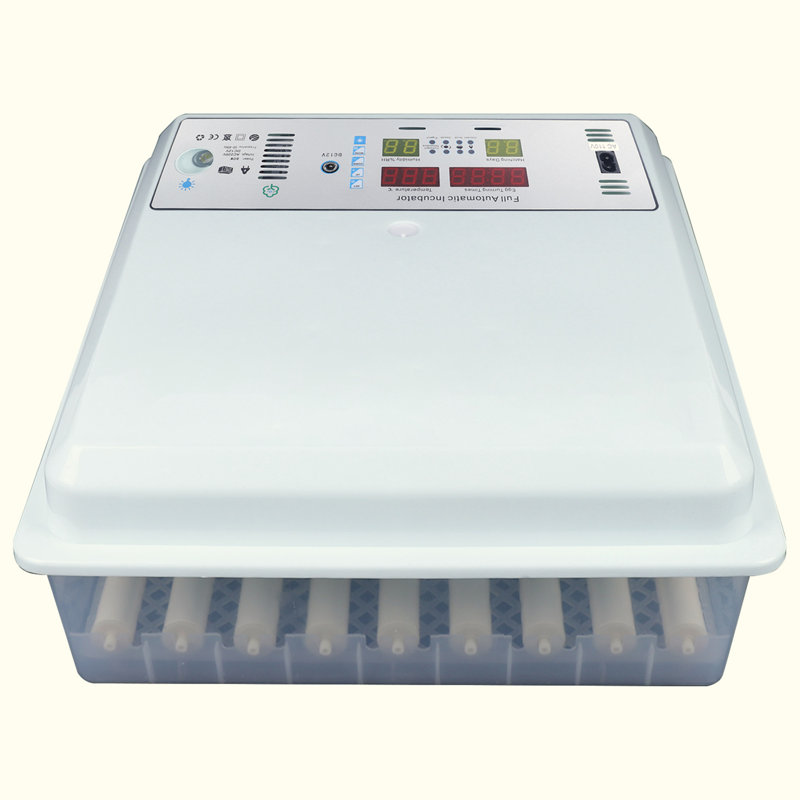 Addai Chicken Egg Incubator For Up To 60+ Eggs