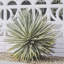 Palm Springs Villa Puerta Naranja-123584344-123584347