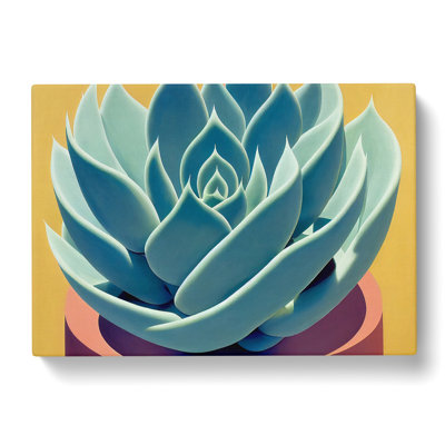 Flourishing Succulent Plant - Wrapped Canvas