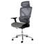 Office Chair-774590483-774590480