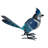 Metal Miniature Blue Jay Statue