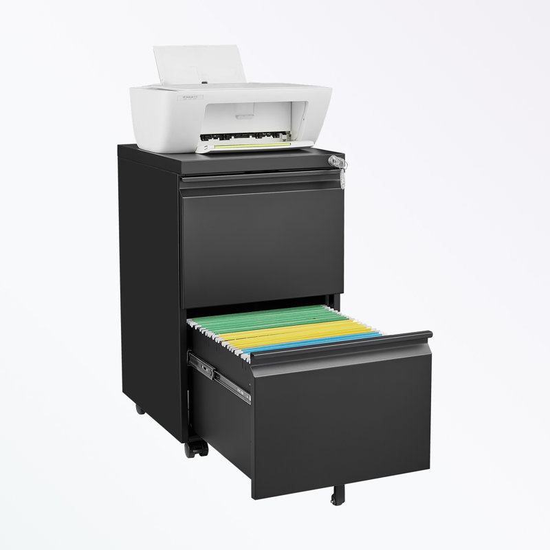 Classeur de rangement de 15,35 po Mathusan, Noir