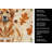 Red Leonberger Heirloom Fall Kitchen Towel-1218231408